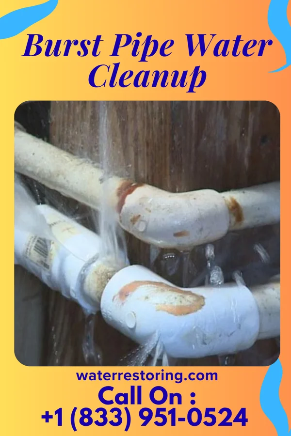 Burst Pipe Water Cleanup in Garretts Mill, MD